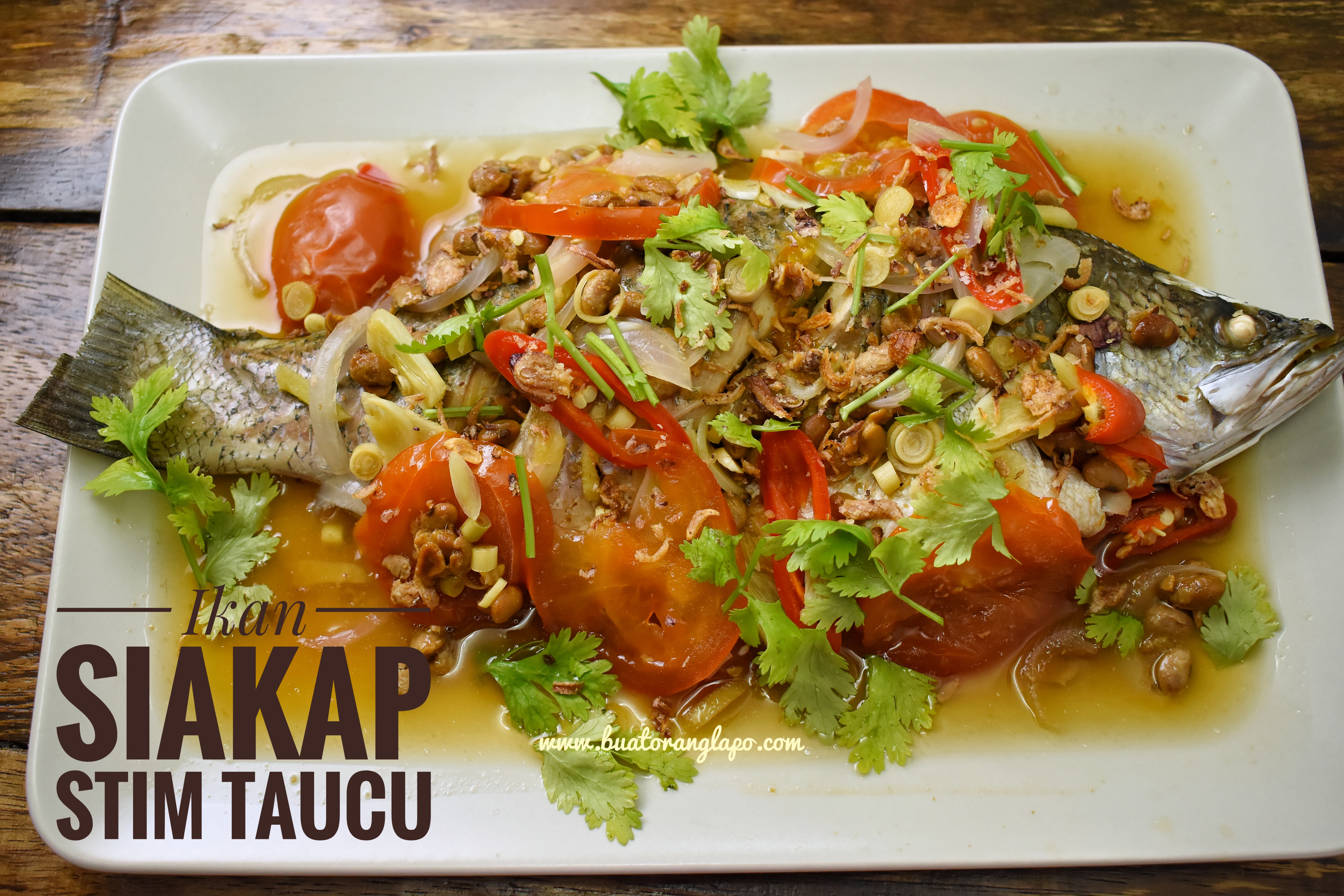 Ikan Siakap Stim Taucu Yang Mudah Dan Sedap Buat Orang Lapo